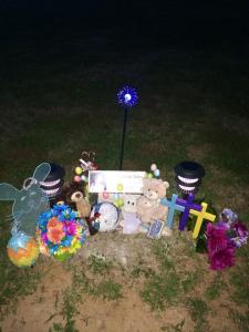 10153181_776452869033949_1172334216_n