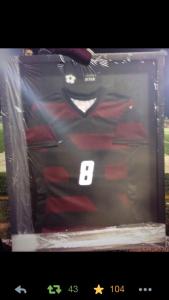 1779142_758244880854748_499993492_n